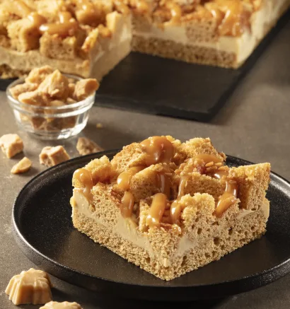 01108 Avalanche a lerable 2946