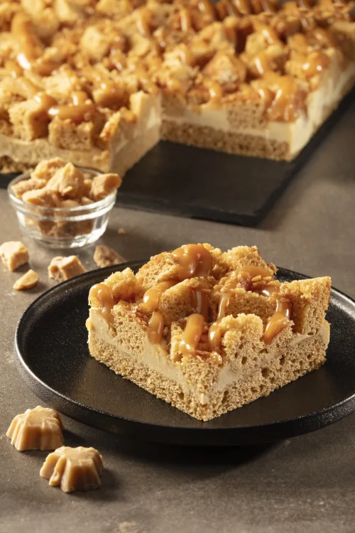 01108 Avalanche a lerable 2946